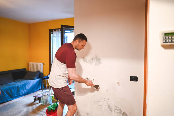 Water Damage Restoration in North Miami, FL